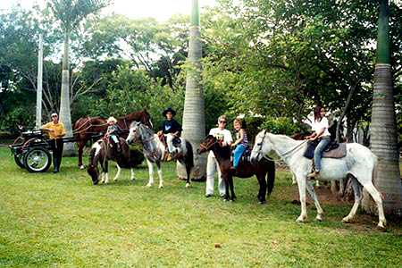 foto cavalos, motel e hotel fazenda Toca das Corujas