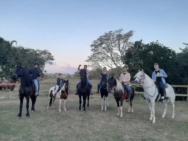 Boas lembranças na Toca das Corujas