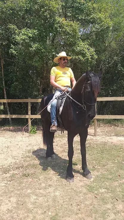 Encanto do interior na Toca das Corujas
